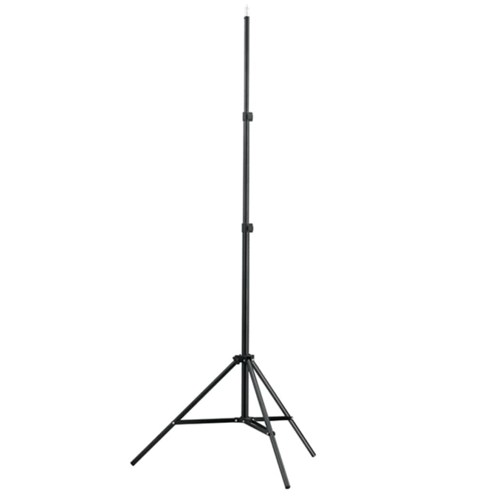 vidaXL Studiová sada se světly a bílým pozadím 600 x 300 cm